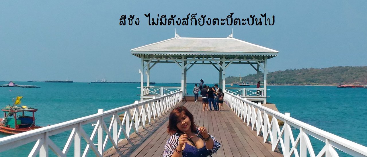 cover สีชัง ไม่มีตังส์ก็ยังตะบี้ตะบันไป