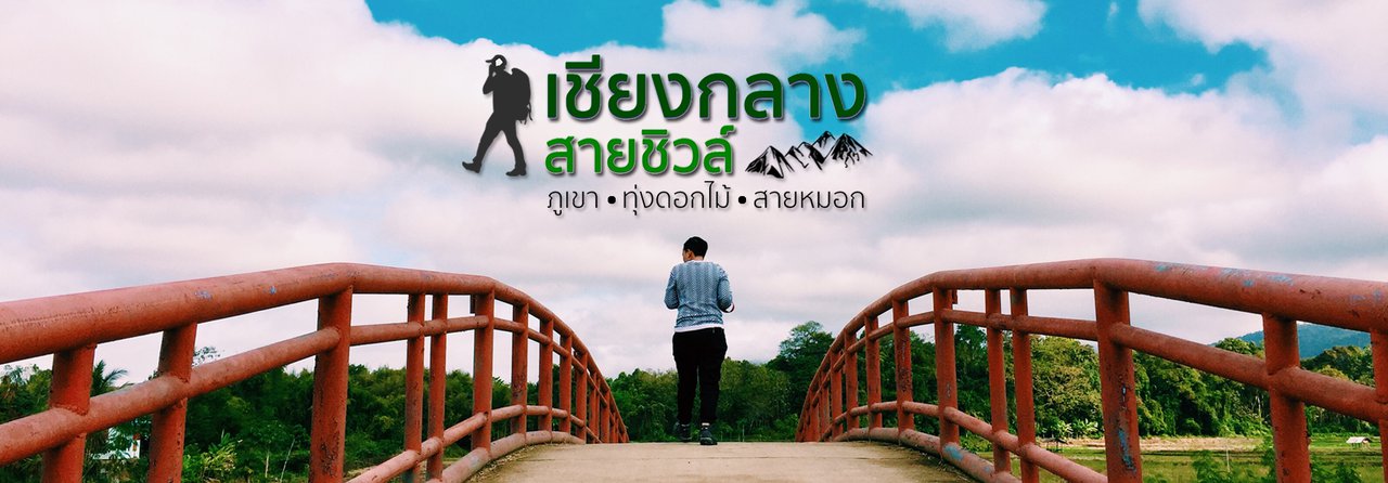 cover CHIANG KLANG สายชิวล์ | ภูเขา ทุ่งดอกไม้...สายหมอก