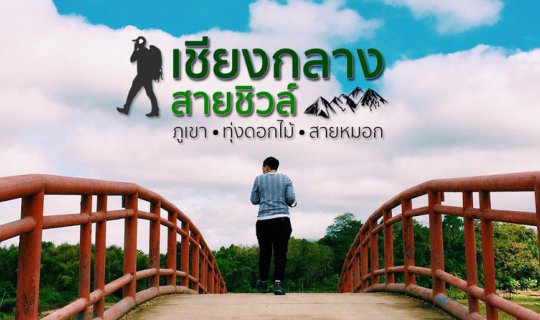 Cover CHIANG KLANG สายชิวล์ | ภูเขา ทุ่งดอกไม้...สายหมอก...