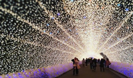 cover ล้านดวงไฟ กับ สองดวงใจพาเพื่อนไป Winter Illumination light @ Nabana No Sato (Nagoya)