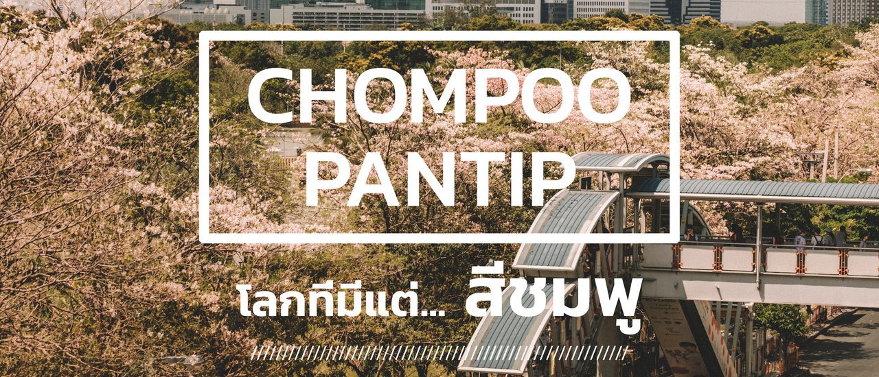 cover << Lazy Coup >>  Chompoo Pantip โลกที่มีแต่... สีชมพู