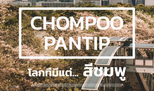 cover << Lazy Coup >>  Chompoo Pantip โลกที่มีแต่... สีชมพู