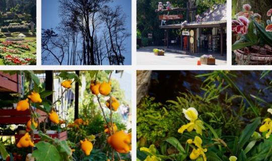 cover ลุงอ้วน กินกะเที่ยว 2015 # 31 ๑๑๑๑๑...เที่ยว เชียงใหม่ ปาย เชียงราย  กับ ลุงอ้วน...๑๑๑๑๑ กลางมกราคม 2015