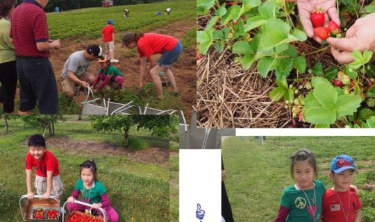 cover ลุงอ้วน กินกะเที่ยว 2014 USA  ๑๑๑๑๑...ท่องอเมริกา กับลุงอ้วน...๑๑๑๑๑ # 1