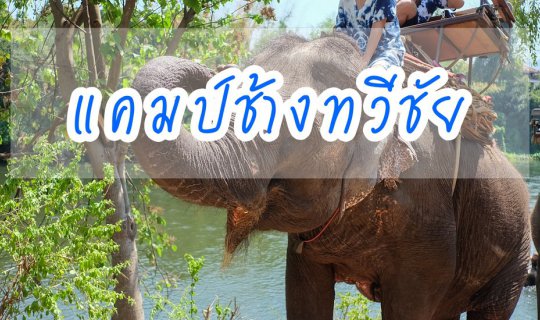 cover ช้าง ช้าง ช้าง ช้าง ช้าง น้องเคยนั่งช้างหรือเปล่า // แคมป์ช้างทวีชัย กาญจนบุรี