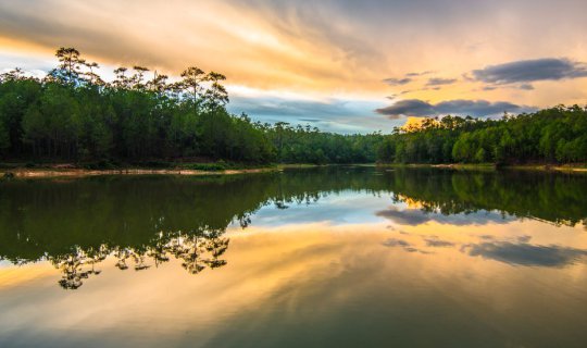 Cover พาเที่ยวป่าสนวัดจันทร์ อ.กัลยาณิวัฒนา จ.เชียงใหม่...