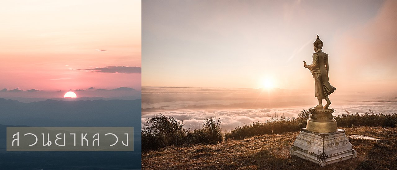 cover ทริปวันว่าง : นอนดูดาวชมทะเลหมอก น่าน..ไง “ดอยสวนยาหลวง”