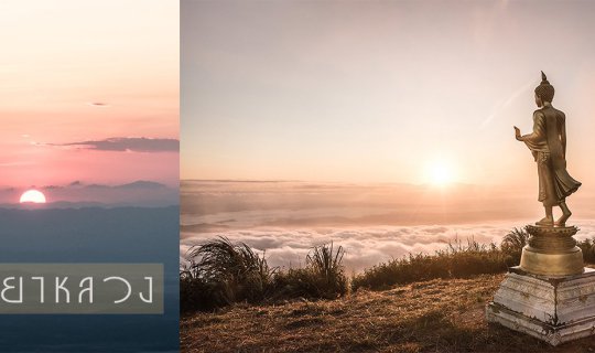 cover ทริปวันว่าง : นอนดูดาวชมทะเลหมอก น่าน..ไง “ดอยสวนยาหลวง”