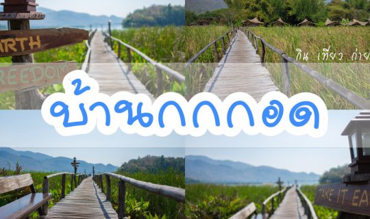 cover " บ้ า น ก ก ก อ ด " ให้ธรรมชาติโอบกอดตัวเรา