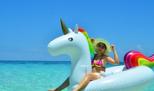 cover หนีเที่ยวไปเกาะไม้ท่อน 2560 by หนีward มากอดฝัน