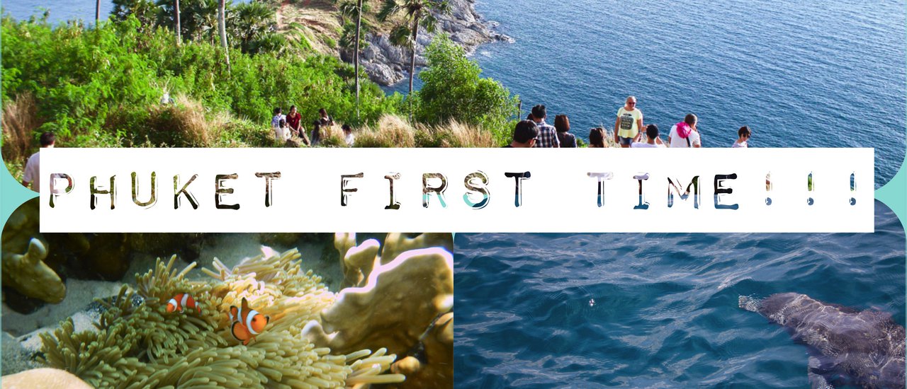 cover ล่องนาวา ส่องโลมาที่เกาะไม้ท่อน เยี่ยมบ้านนีโม่ จ.ภูเก็ต