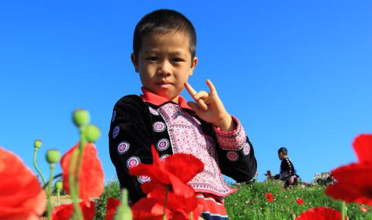 cover The Charm of Northern Thailand 【Chiang Mai - Chiang Rai】