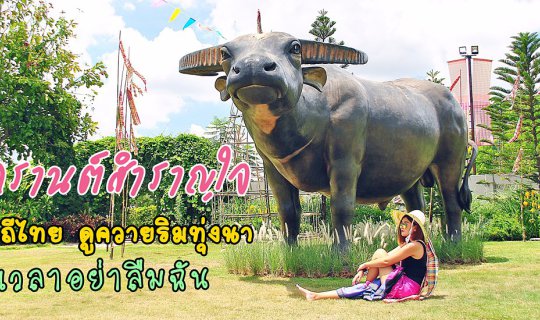 cover ราชบุรีมีอะไร ?? ...ชวนเพื่อนๆเที่ยววิถีไทย นอนดูควายริมทุ่งนา