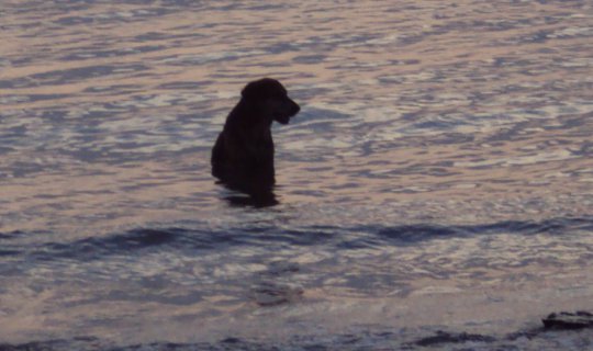 Cover ติดเกาะเลาะหาด @บ้านเกาะหมากรีสอร์ท...