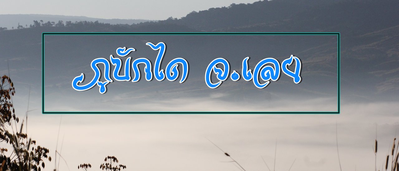 cover คิดถึงเขา..เดินเตะฝุ่น..ภูบักได จ.เลย