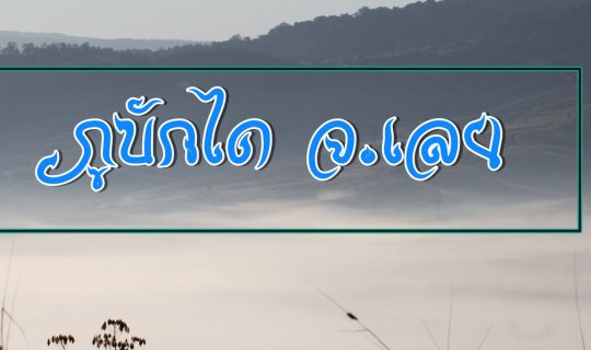 cover คิดถึงเขา..เดินเตะฝุ่น..ภูบักได จ.เลย