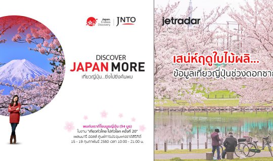 cover "Hanami" Festival or Sakura Appreciation Festival of Japan