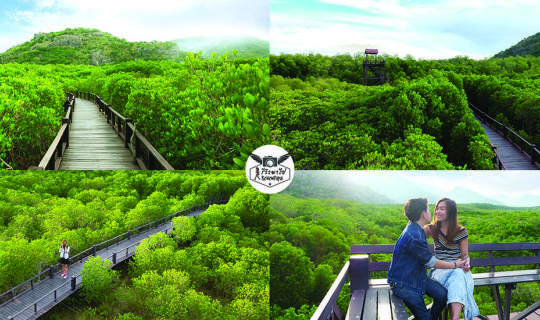 cover The unplanned trip to Pranburi Forest Park<3 (20 kilometers from Hua Hin)