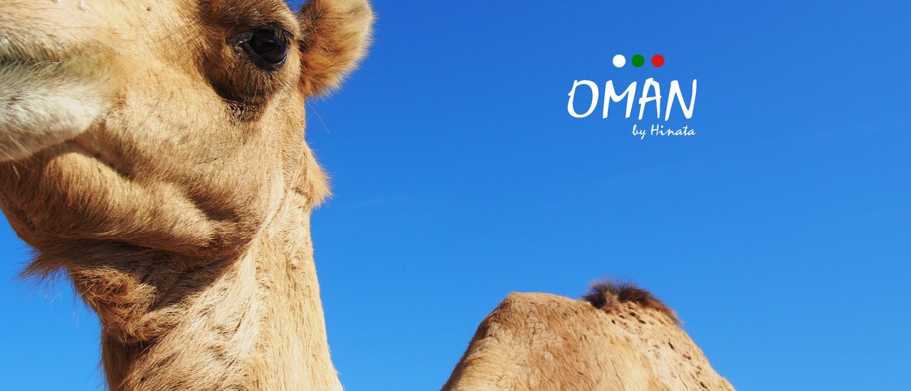 cover เที่ยว OMAN