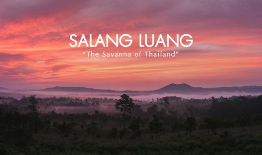 cover "สดับสรรพเสียง จากผืนหญ้าจรดยอดภูผา" หน่วยพิทักษ์ฯ หนองแม่นา อุทยานแห่งชาติทุ่งแสลงหลวง