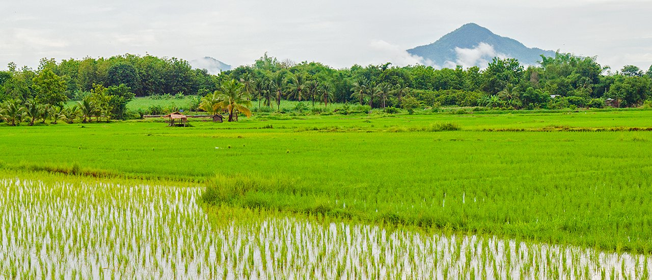 cover No hipster, just advanture!... The green Chiang Khan. This city is not only well known about wooden houses!