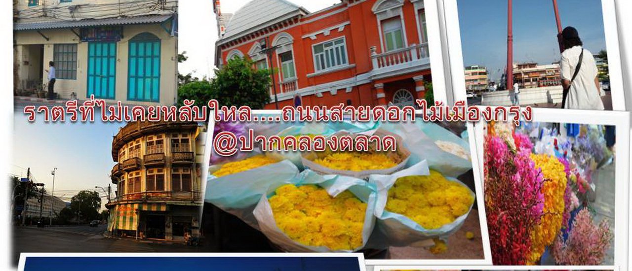 cover ราตรีที่ไม่เคยหลับใหล..ถนนสายดอกไม้เมืองกรุง ณปากคลองตลาด