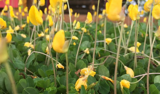 cover เ ข า ค้ อ ห น้ า ฝ น .. กั บ ม น ต์ เ ส น่ ห์ ที่ มิ อ า จ ลื ม เ ลื อ น