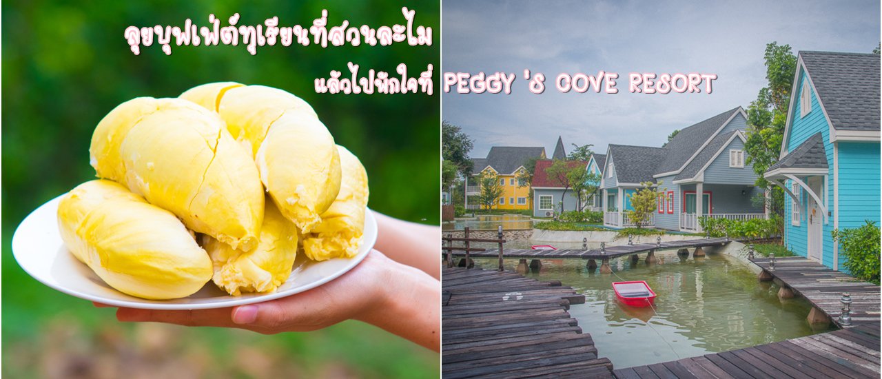 cover ลุยบุฟเฟ่ต์ทุเรียนที่สวนละไม แล้วไปพักใจที่ PEGGY 'S COVE RESORT