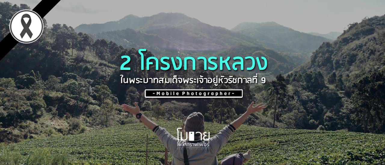 cover พาเที่ยว 2 โครงการหลวง ณ เชียงราย • ดอยอ่างขาง • ดอยตุง