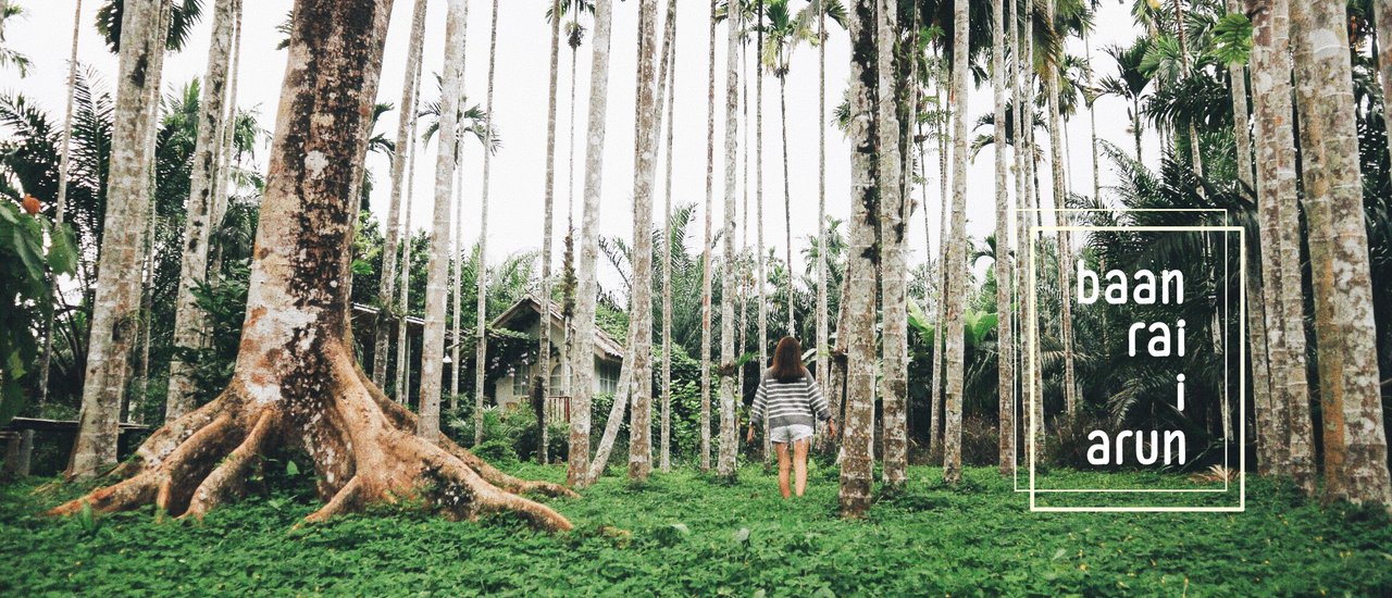 cover นั่งรถไฟ ไปบ้านไร่ :) by ชอบวันหยุด