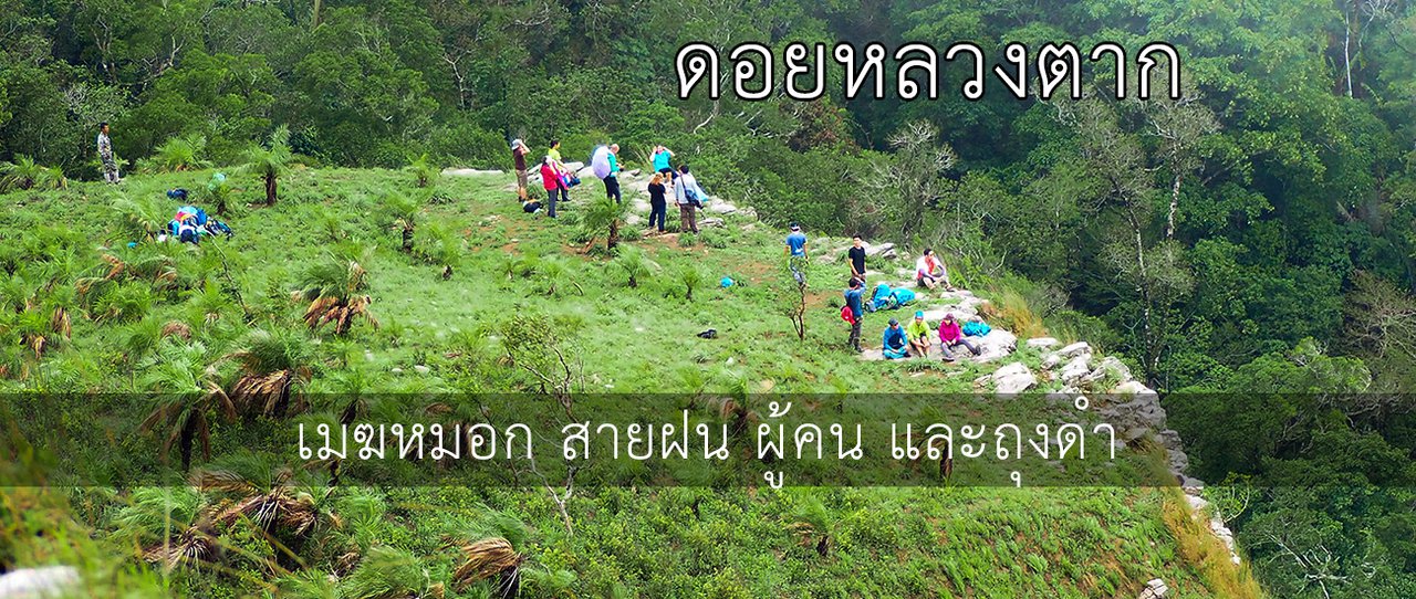cover ดอยหลวงตาก | เมฆหมอก สายฝน ผู้คน และถุงดำ