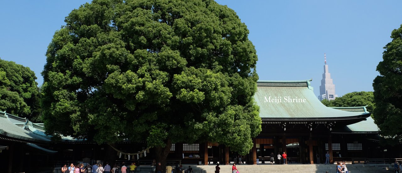 cover Meiji Shrine : ศาลเจ้าเมจิ