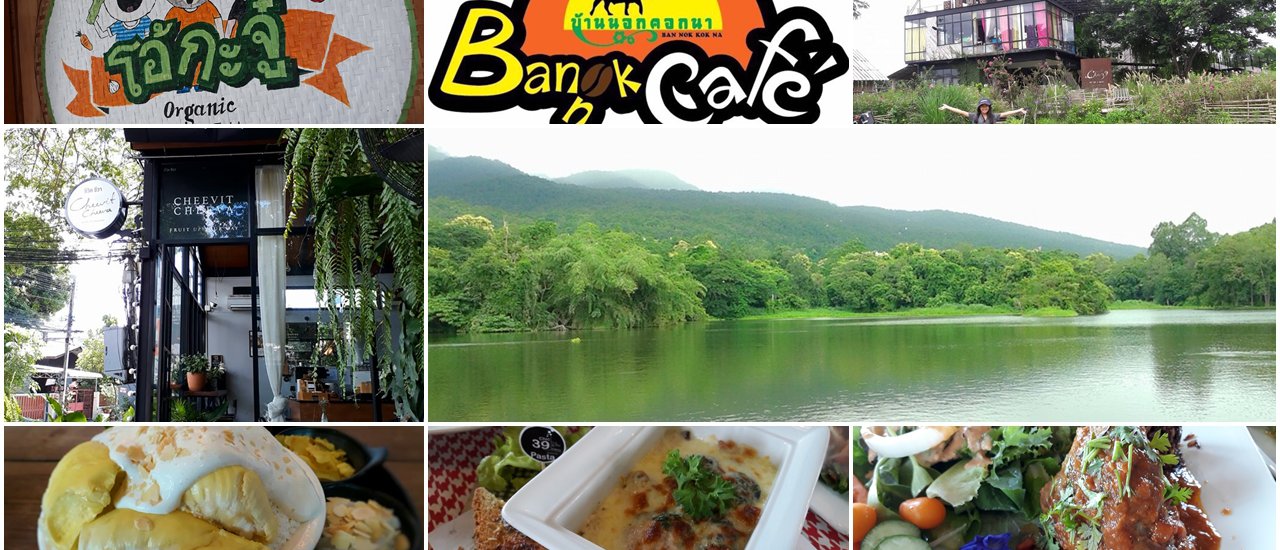 cover ชมอ่างแก้ว หม่ำบิงซูทุเรียนเนื้อแน่นๆ รวมสี่ร้านบรรยากาศดี๊ดีเชียงใหม่ ^^